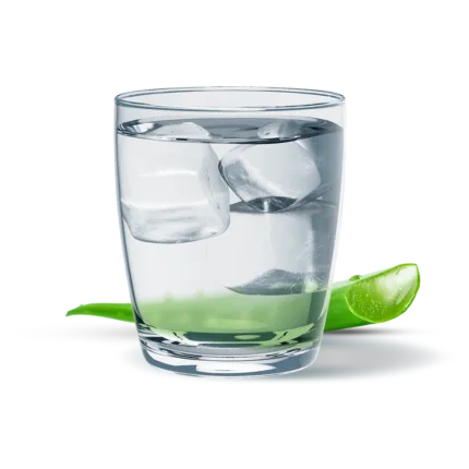 Herbalife Συμπυκνωμένος Χυμός Αλόης γεύση Μάνγκο