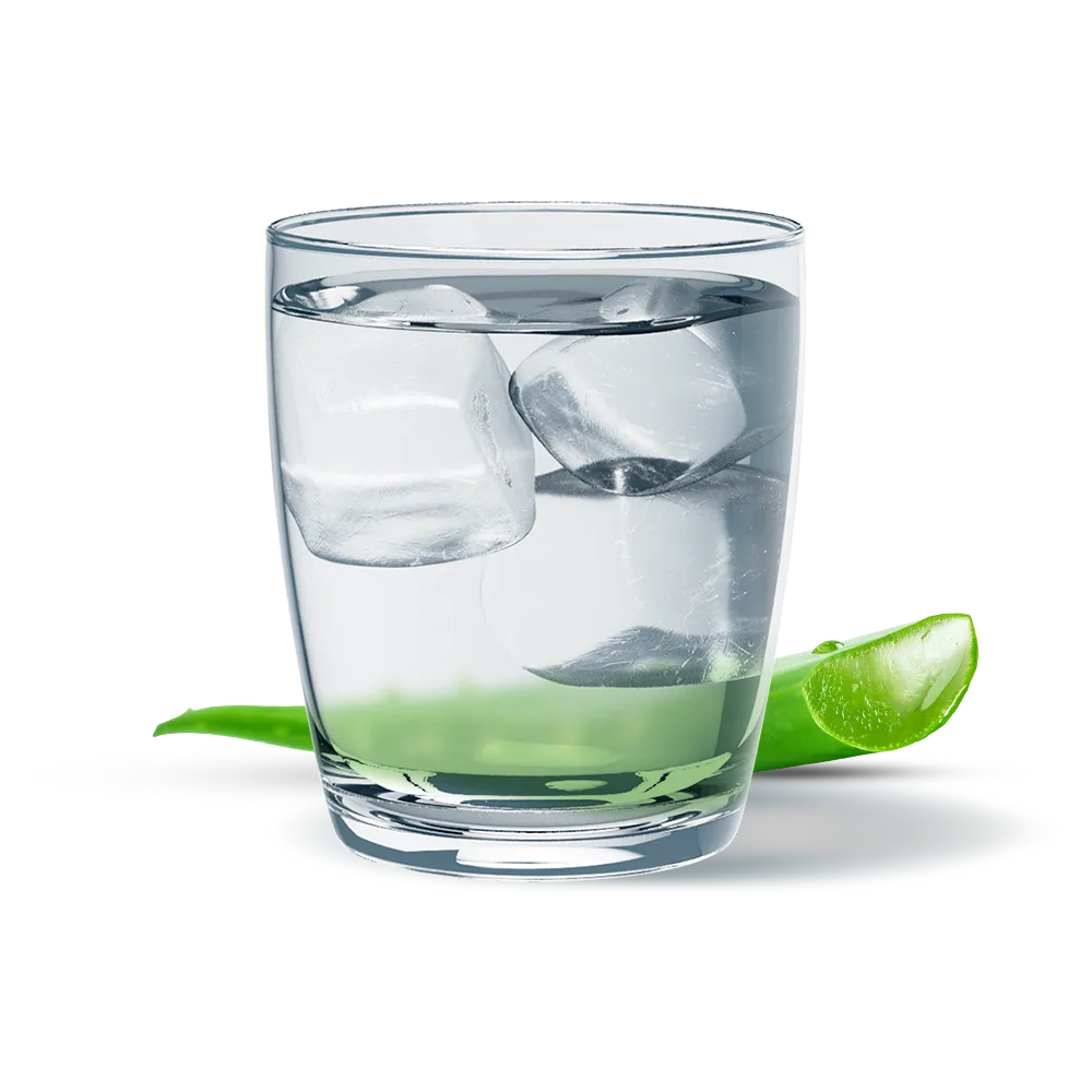 Herbalife Συμπυκνωμένος Χυμός Αλόης γεύση Μάνγκο